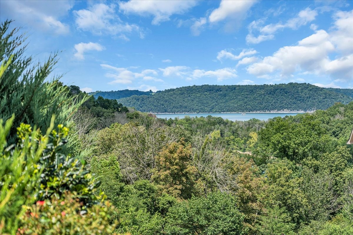 667 Rutherford Lane Smithville, TN 37166 - Photo 13 of 89