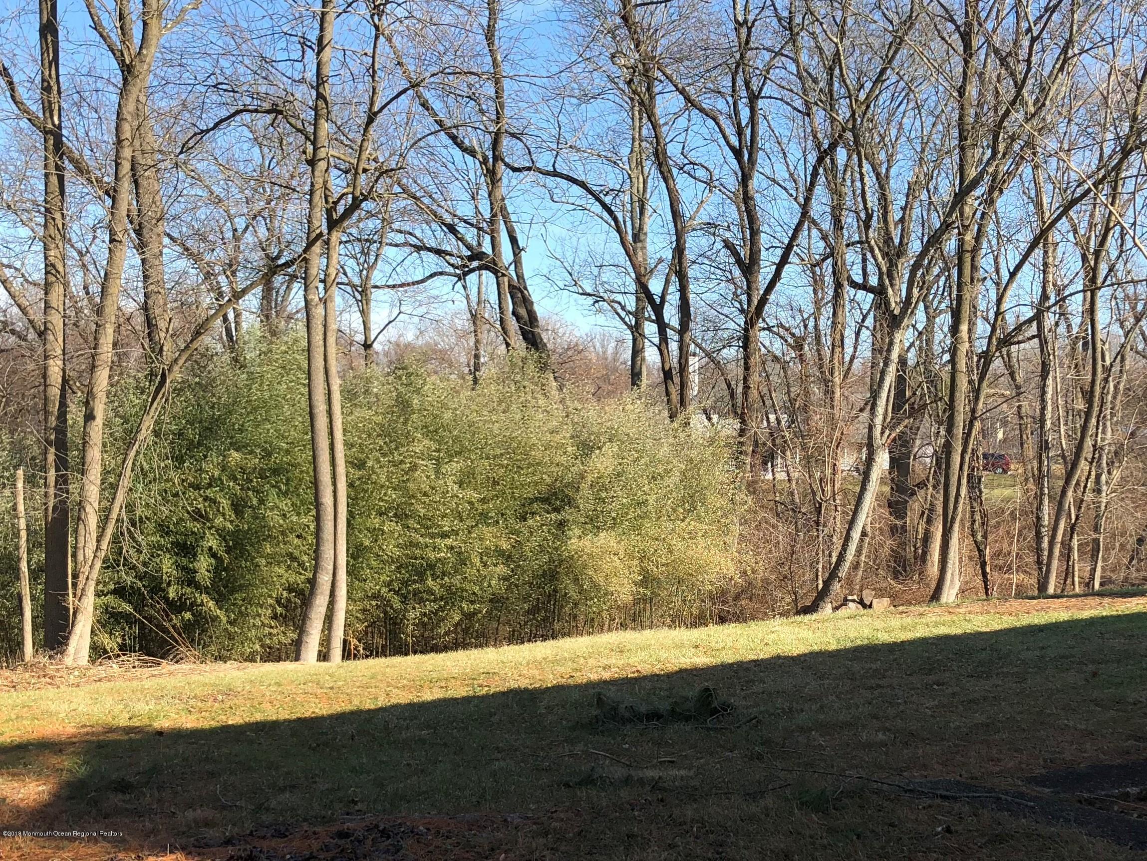 100 Sargent Road Freehold, NJ 07728 - Photo 24 of 30 a view of a yard