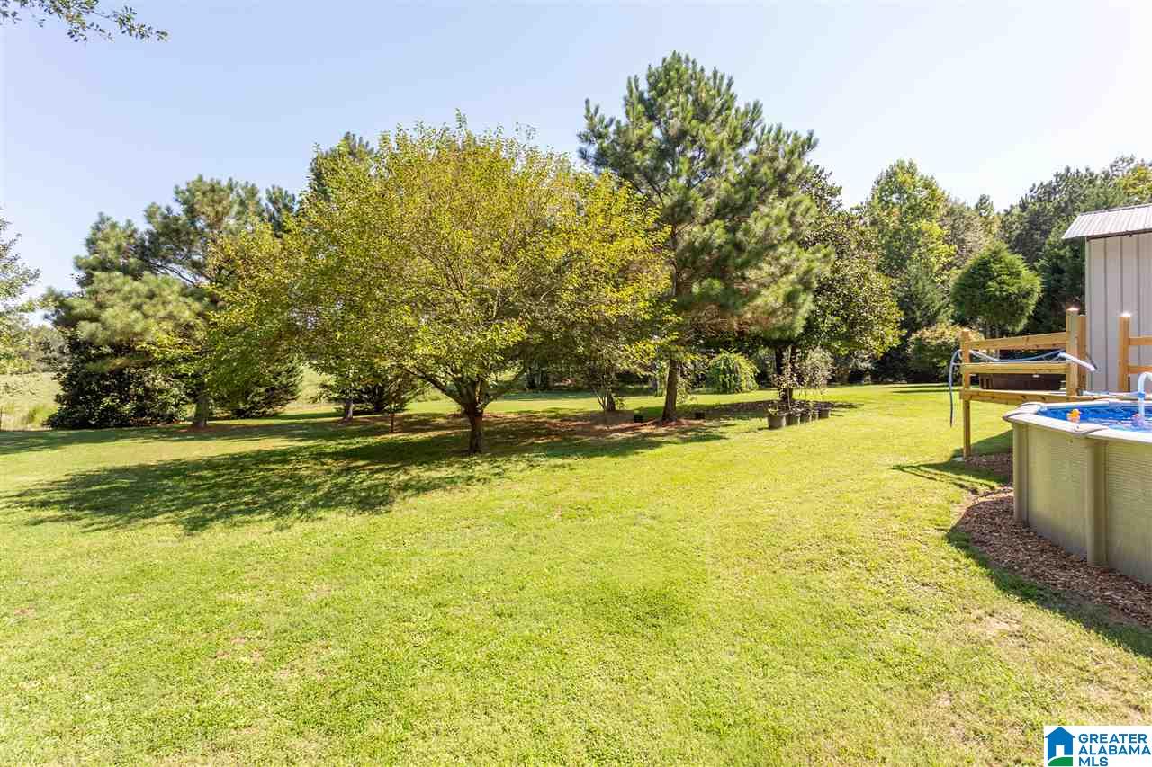 3381 Sardis Road Boaz, AL 35956 - Photo 43 of 47