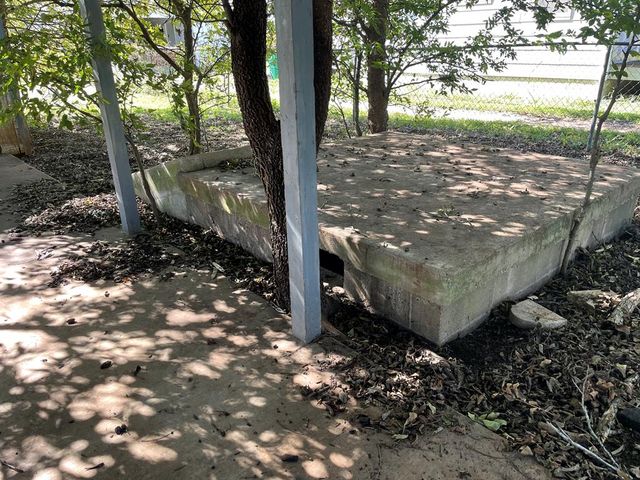 a view of a tree in the backyard of the house