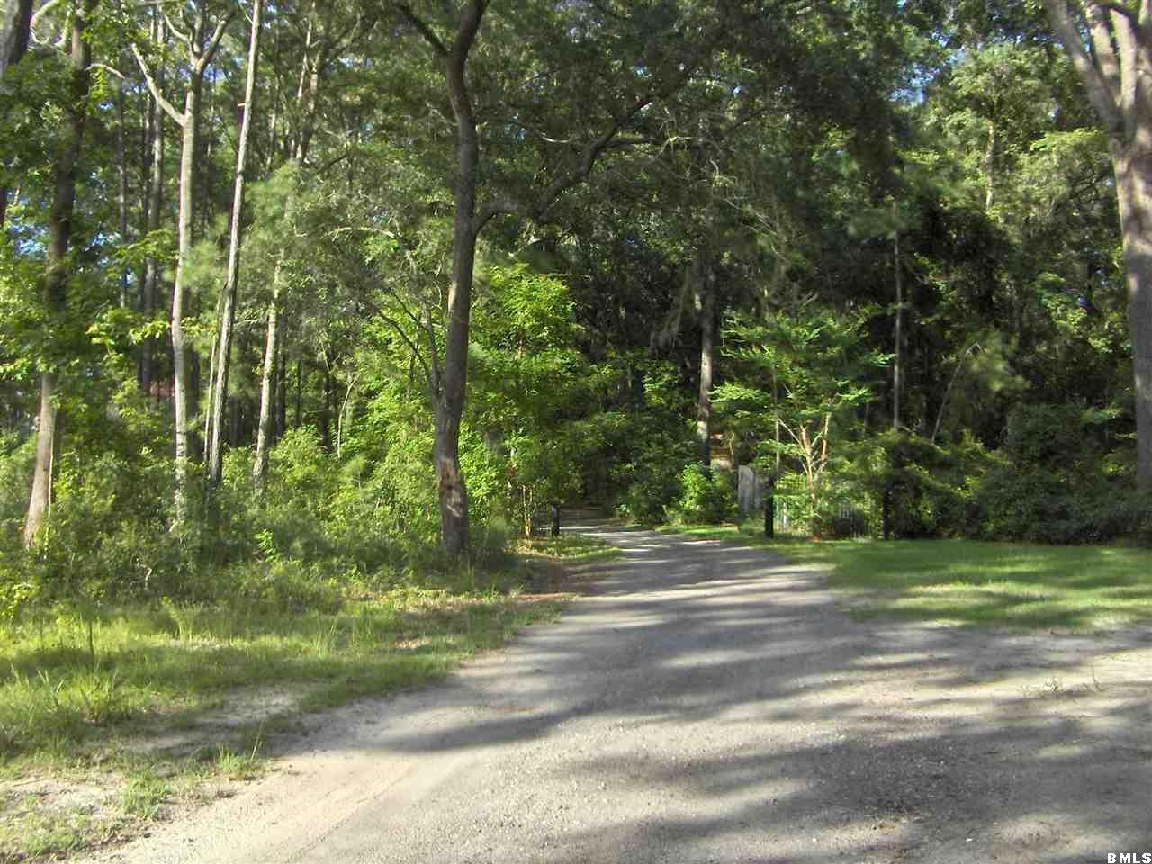 39 Bellinger Bluff Road Okatie, SC 29909 - Photo 12 of 22 Additional Photo