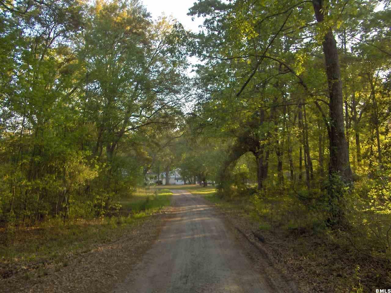 39 Bellinger Bluff Road Okatie, SC 29909 - Photo 14 of 22 Additional Photo