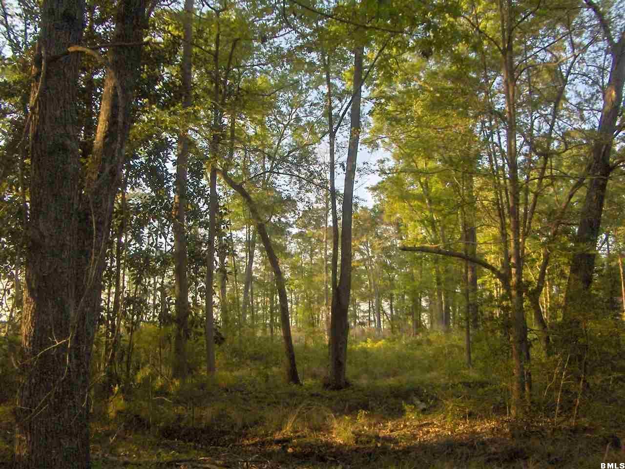 39 Bellinger Bluff Road Okatie, SC 29909 - Photo 16 of 22 Additional Photo