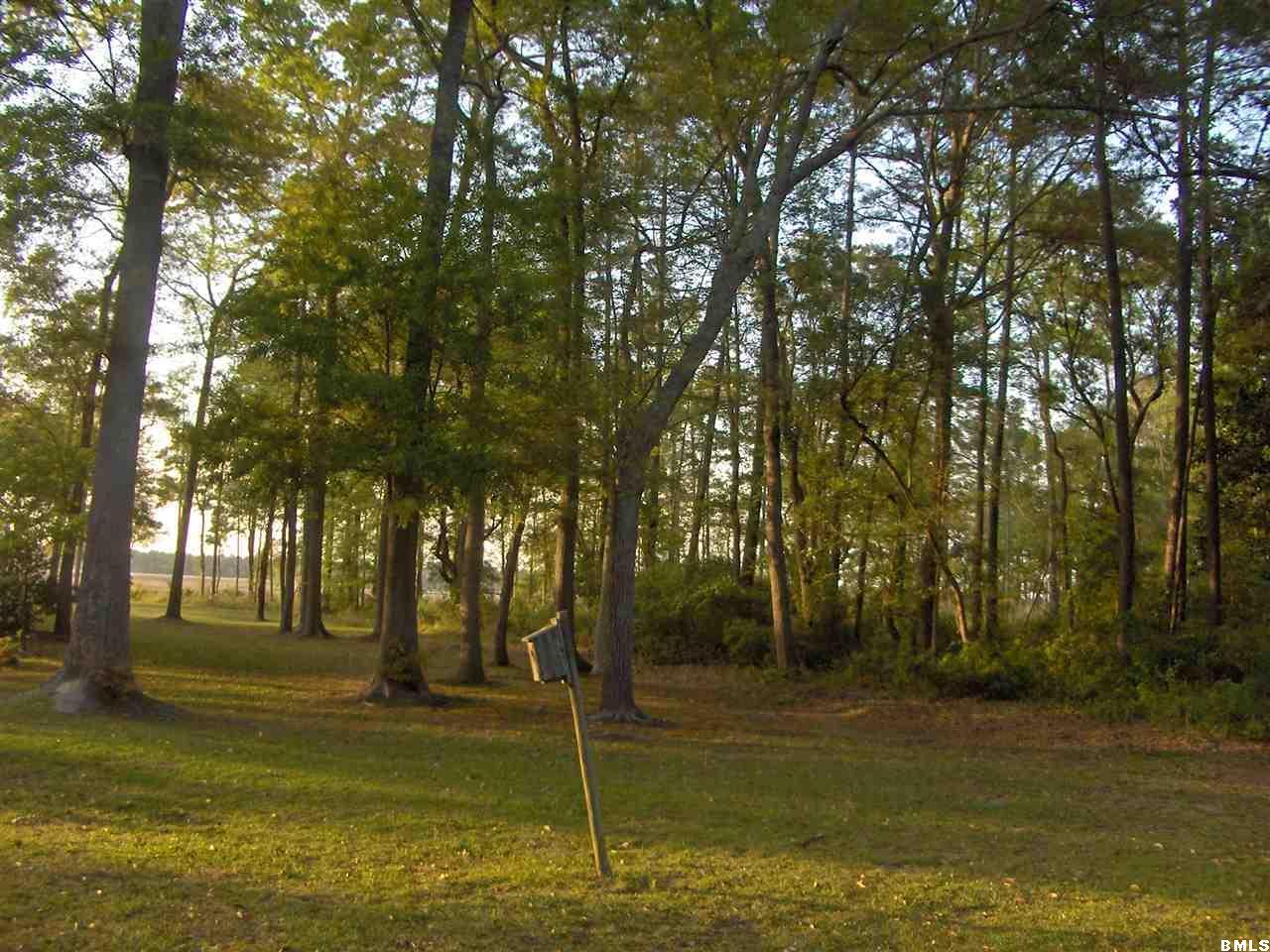 39 Bellinger Bluff Road Okatie, SC 29909 - Photo 17 of 22 Additional Photo