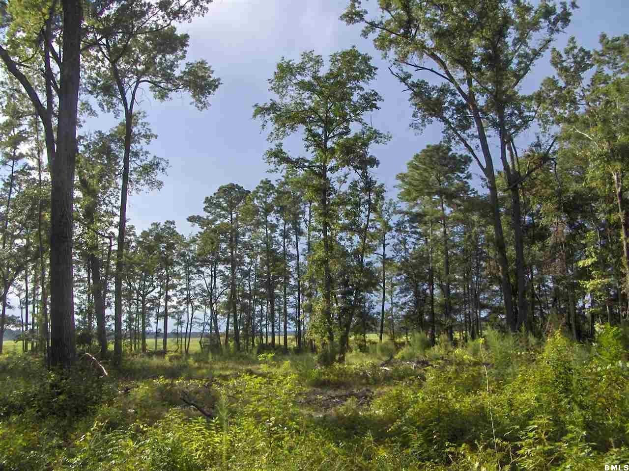 39 Bellinger Bluff Road Okatie, SC 29909 - Photo 2 of 22 Additional Photo