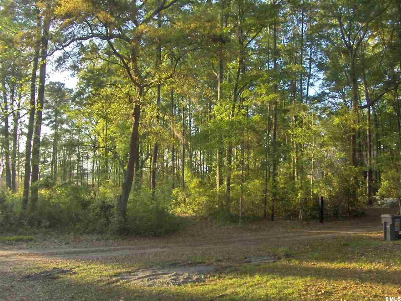39 Bellinger Bluff Road Okatie, SC 29909 - Photo 22 of 22 Additional Photo
