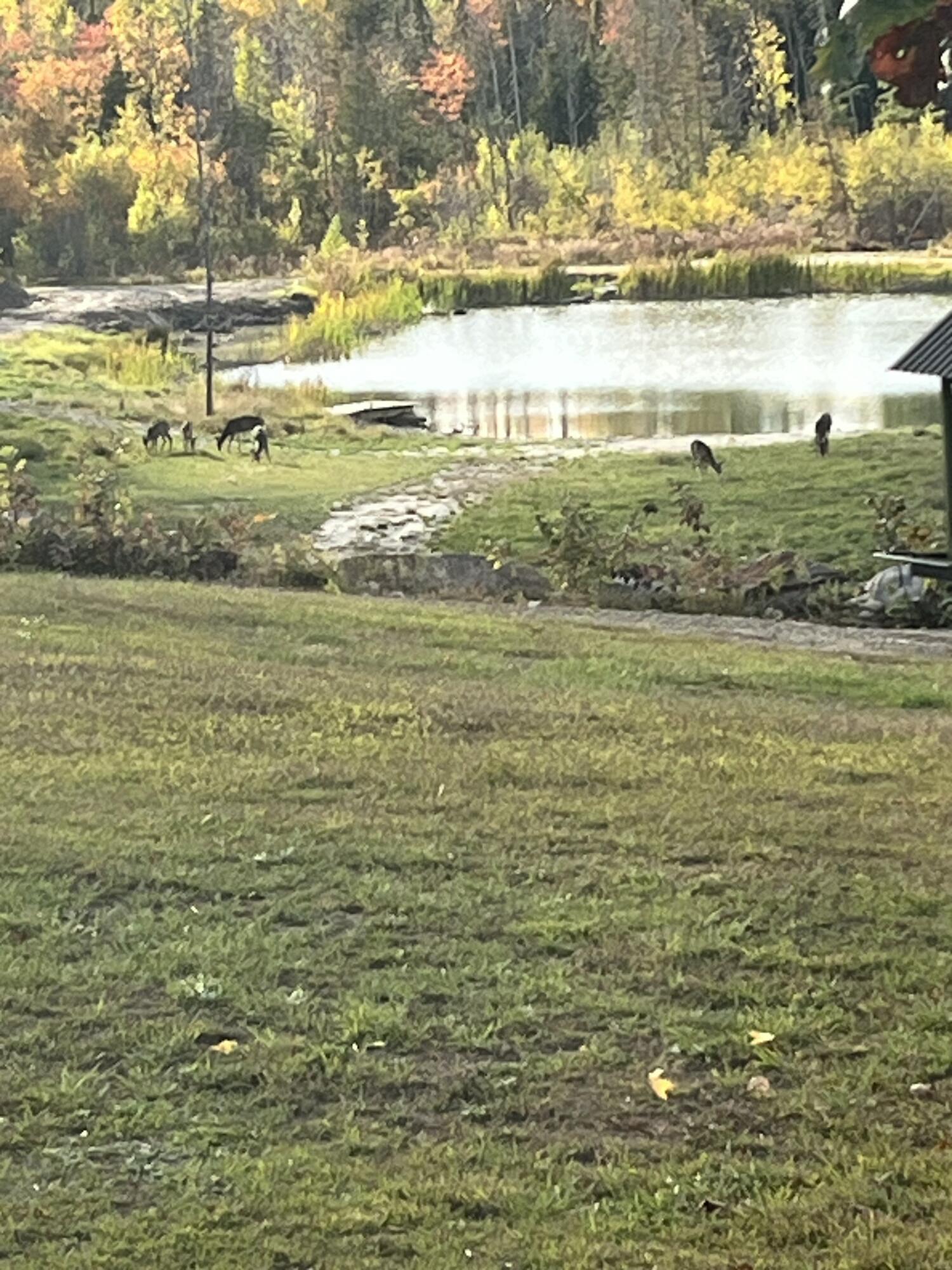 456-a&b Temple Road Farmington, ME 04938 - Photo 92 of 122 IMG_0377