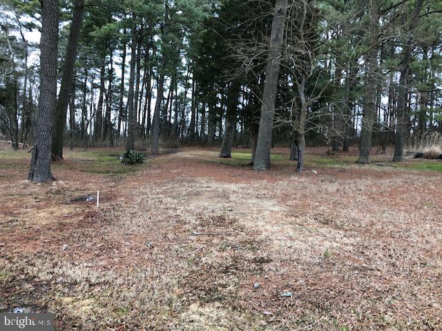 Lot 1 Mt Vernon Road Princess Anne, MD 21853 - Photo 3 of 14 30' Private Road