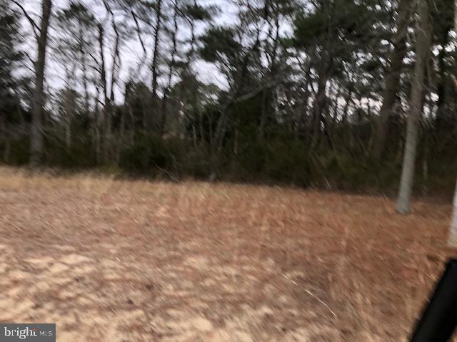 Lot 1 Mt Vernon Road Princess Anne, MD 21853 - Photo 4 of 14 Lot 1