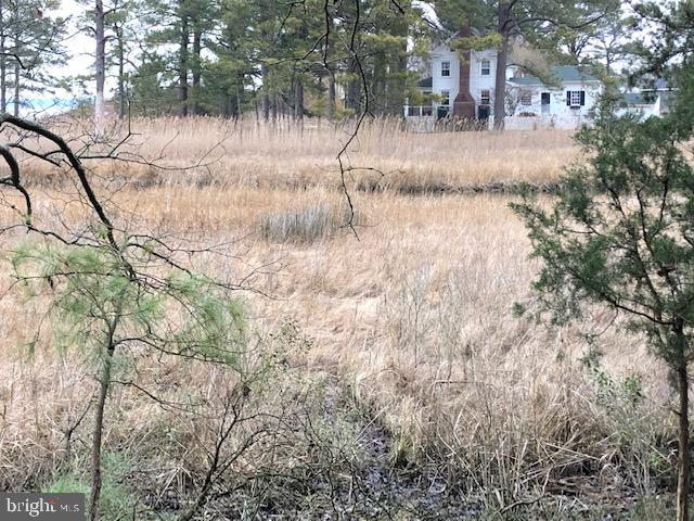Lot 1 Mt Vernon Road Princess Anne, MD 21853 - Photo 5 of 14 Lot 1