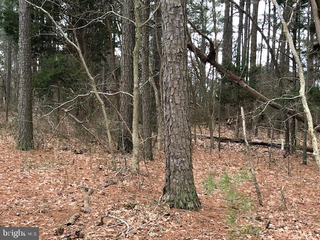 Lot 1 Mt Vernon Road Princess Anne, MD 21853 - Photo 7 of 14 Lot 1