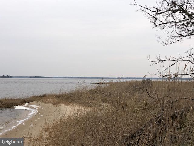 Lot 1 Mt Vernon Road Princess Anne, MD 21853 - Photo 8 of 14 Lot 1 to the Farthest Point