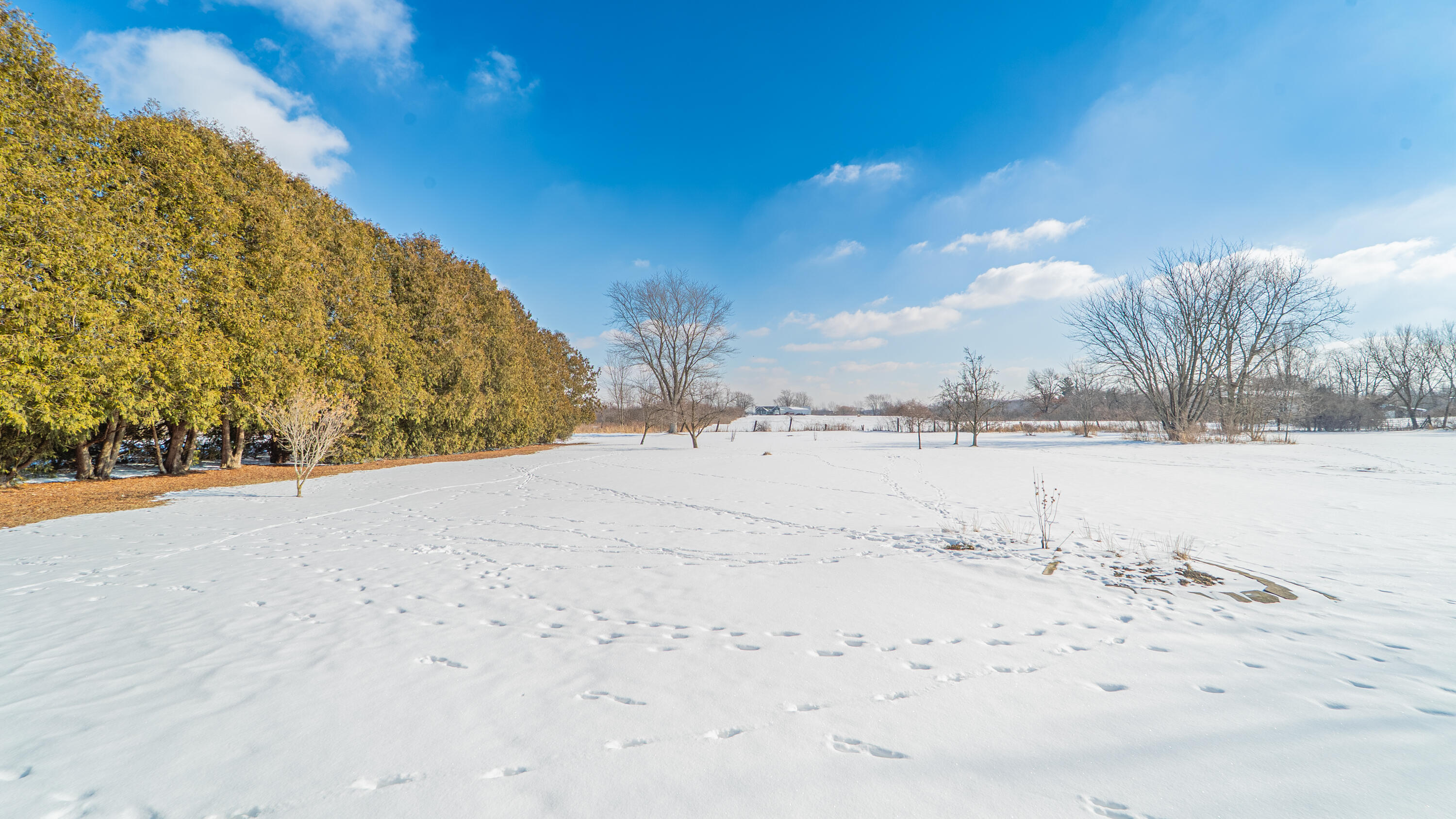 9441 South State Line Road Dyer, IN 46311 - Photo 33 of 48 3000x1687