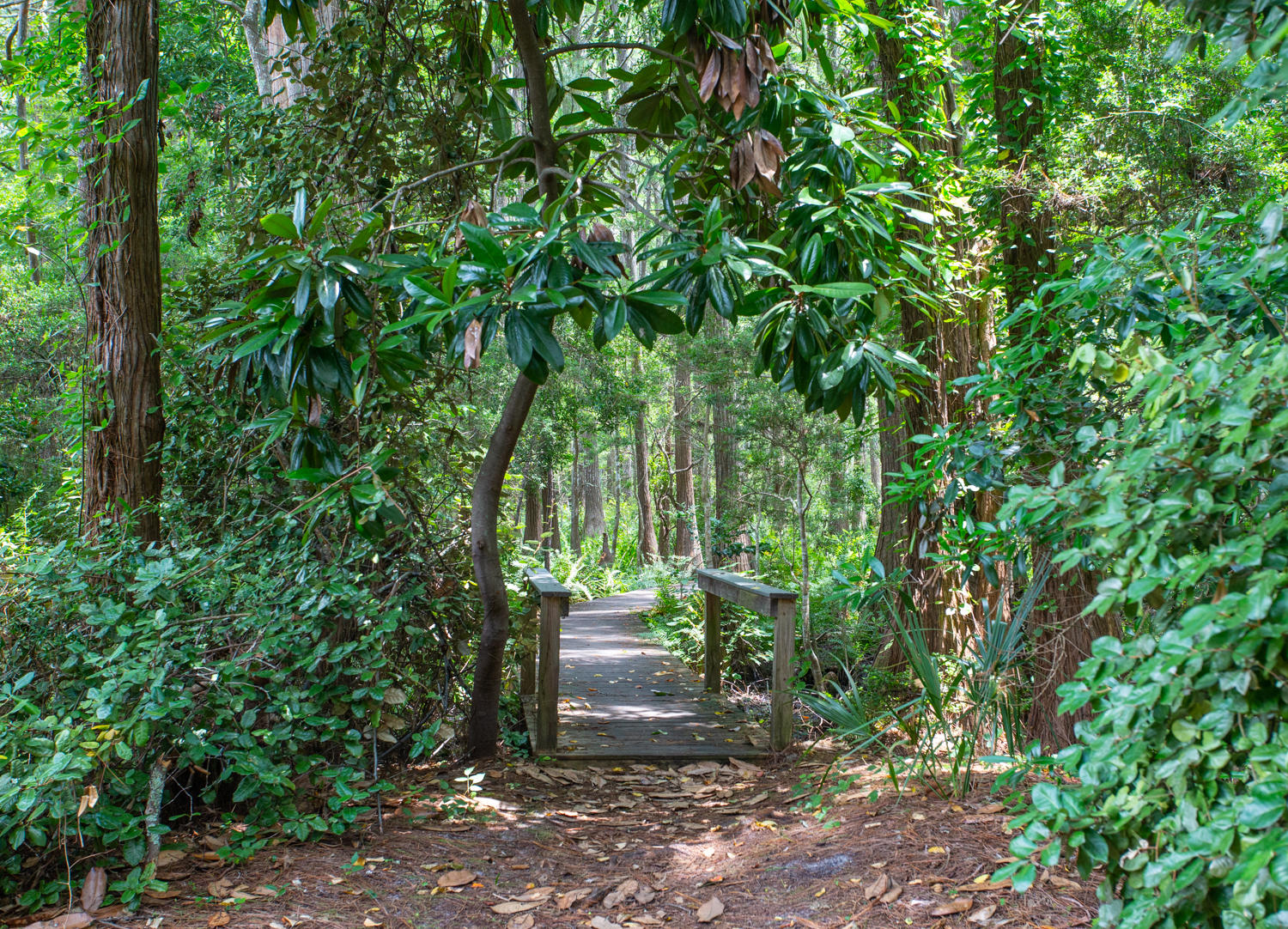43 Cassine Way, Unit 402 Santa Rosa Beach, FL 32459 - Photo 47 of 52 a view of yard
