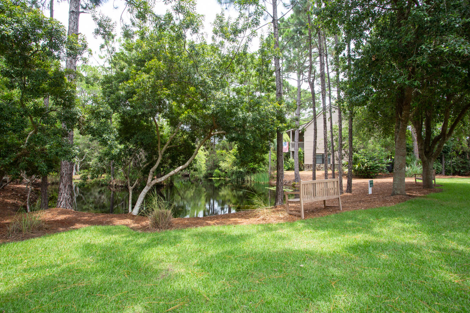43 Cassine Way, Unit 402 Santa Rosa Beach, FL 32459 - Photo 49 of 52 a view of a backyard with a tree