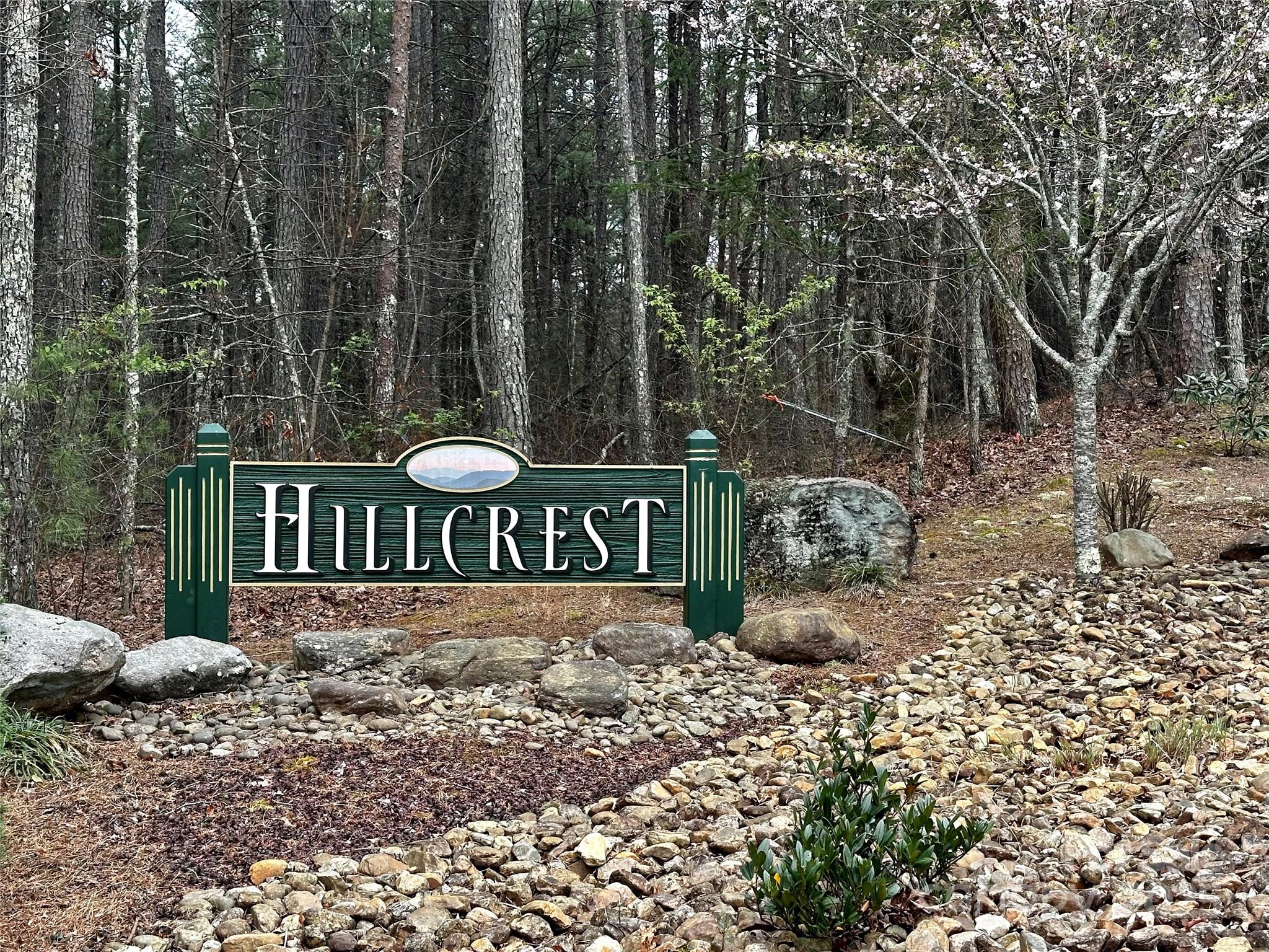19 Sunset Drive, Unit 19 Mill Spring, NC 28756 - Photo 22 of 23