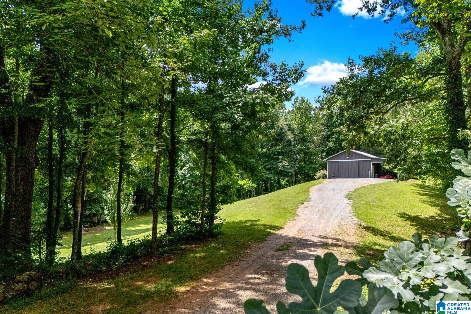 1420 Pepper Road Ashland, AL 36251 - Photo 53 of 68