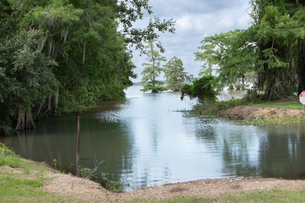 45532 Lakeside Road Gueydan, LA 70542 - Photo 6 of 18