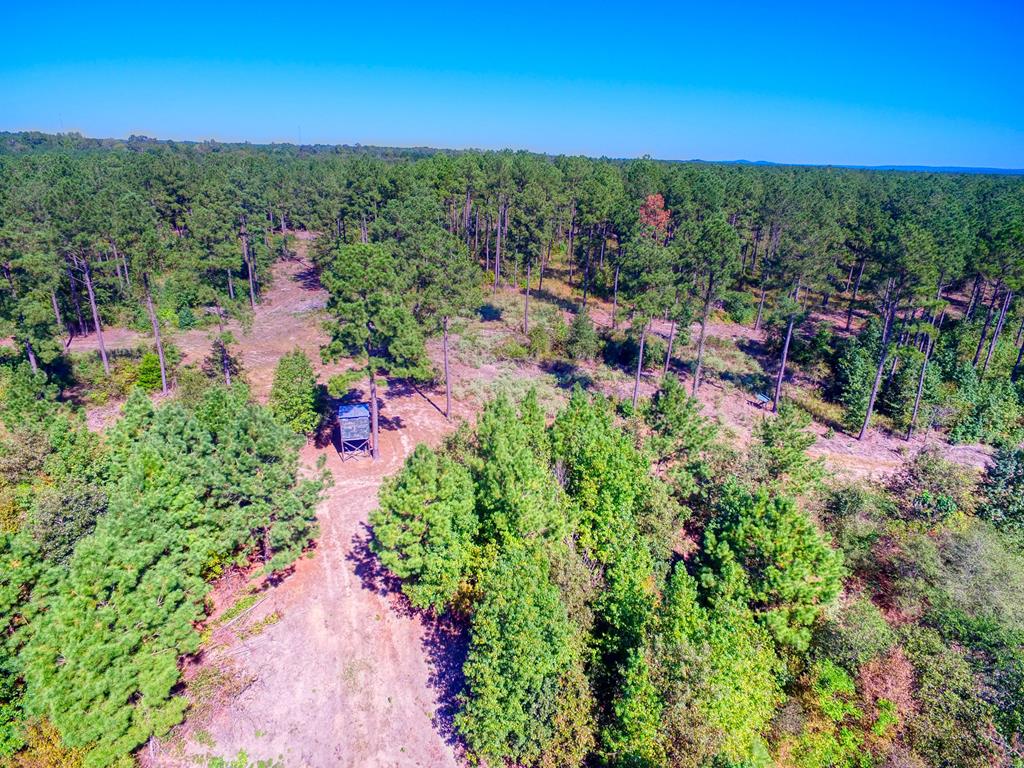0 An County Road Palestine, TX 75801 - Photo 5 of 18