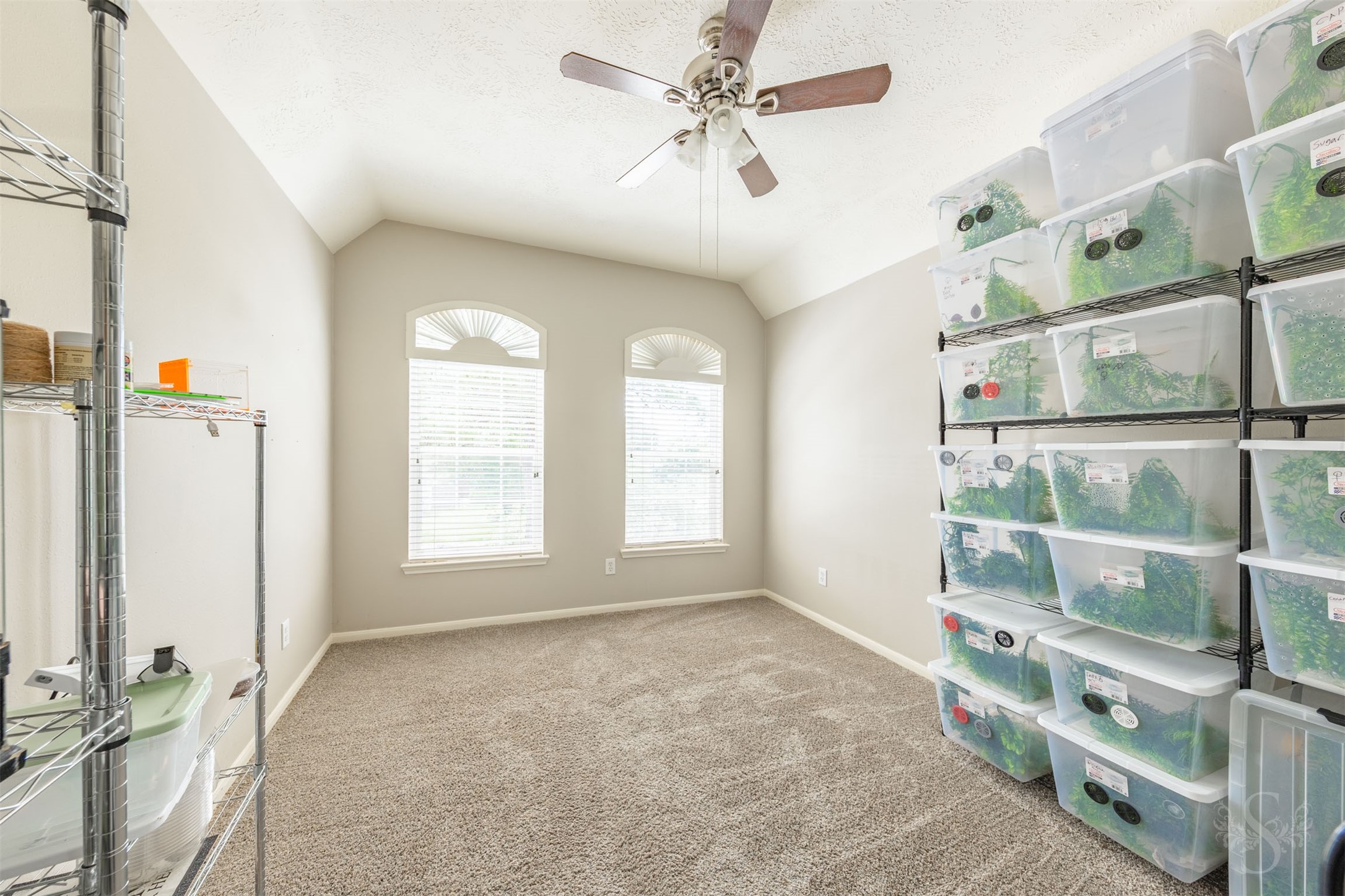 20410 Lake Spring Court Cypress, TX 77433 - Photo 35 of 50