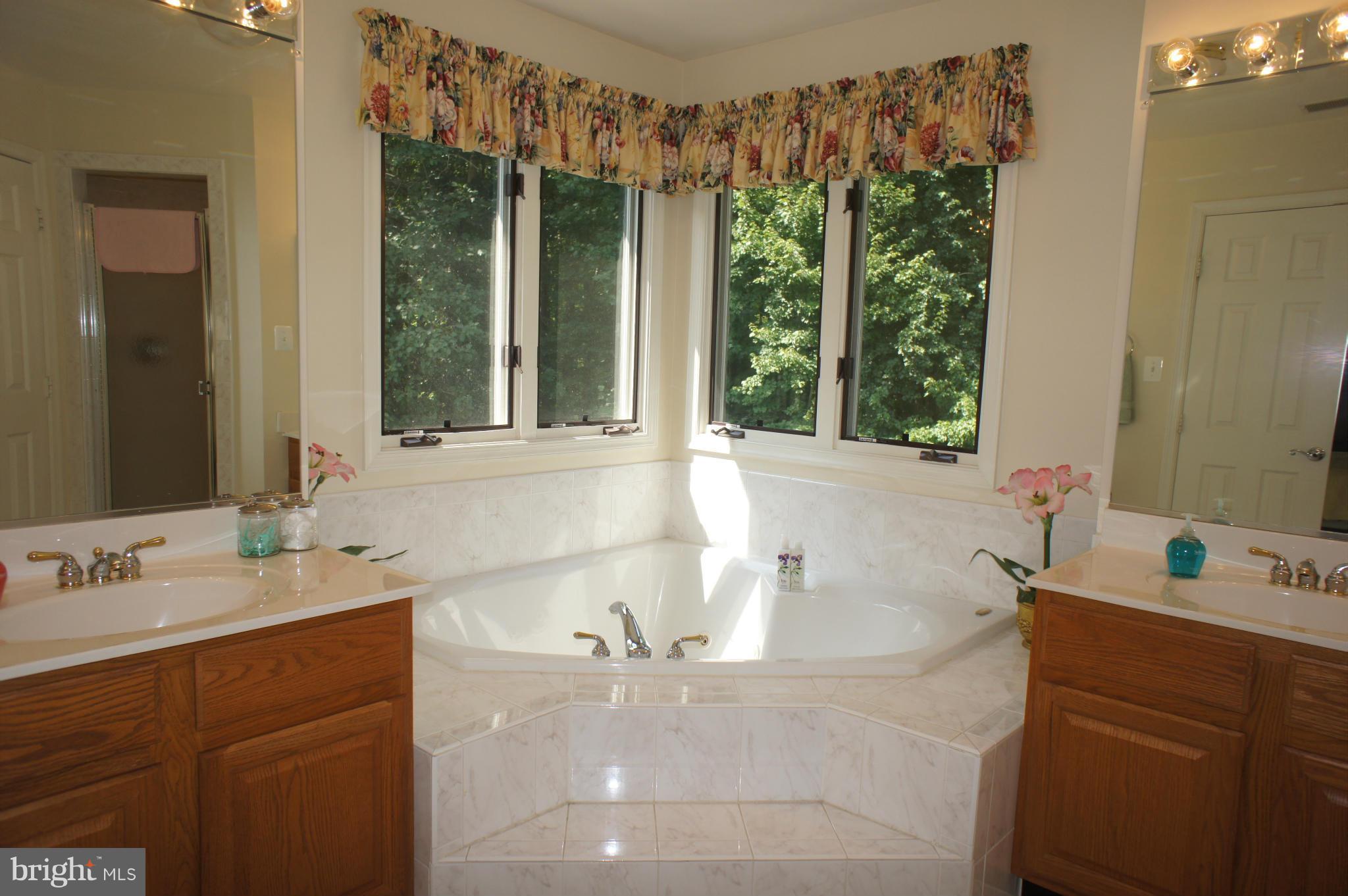 10871 Meanderview Court Manassas, VA 20111 - Photo 16 of 30 Master luxury bath