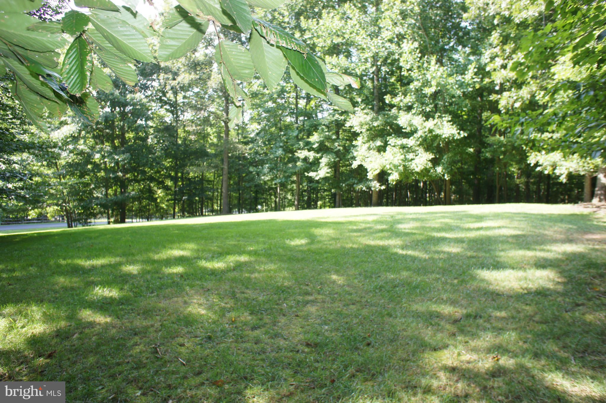 10871 Meanderview Court Manassas, VA 20111 - Photo 30 of 30 Beautiful wooded 4.42 acres