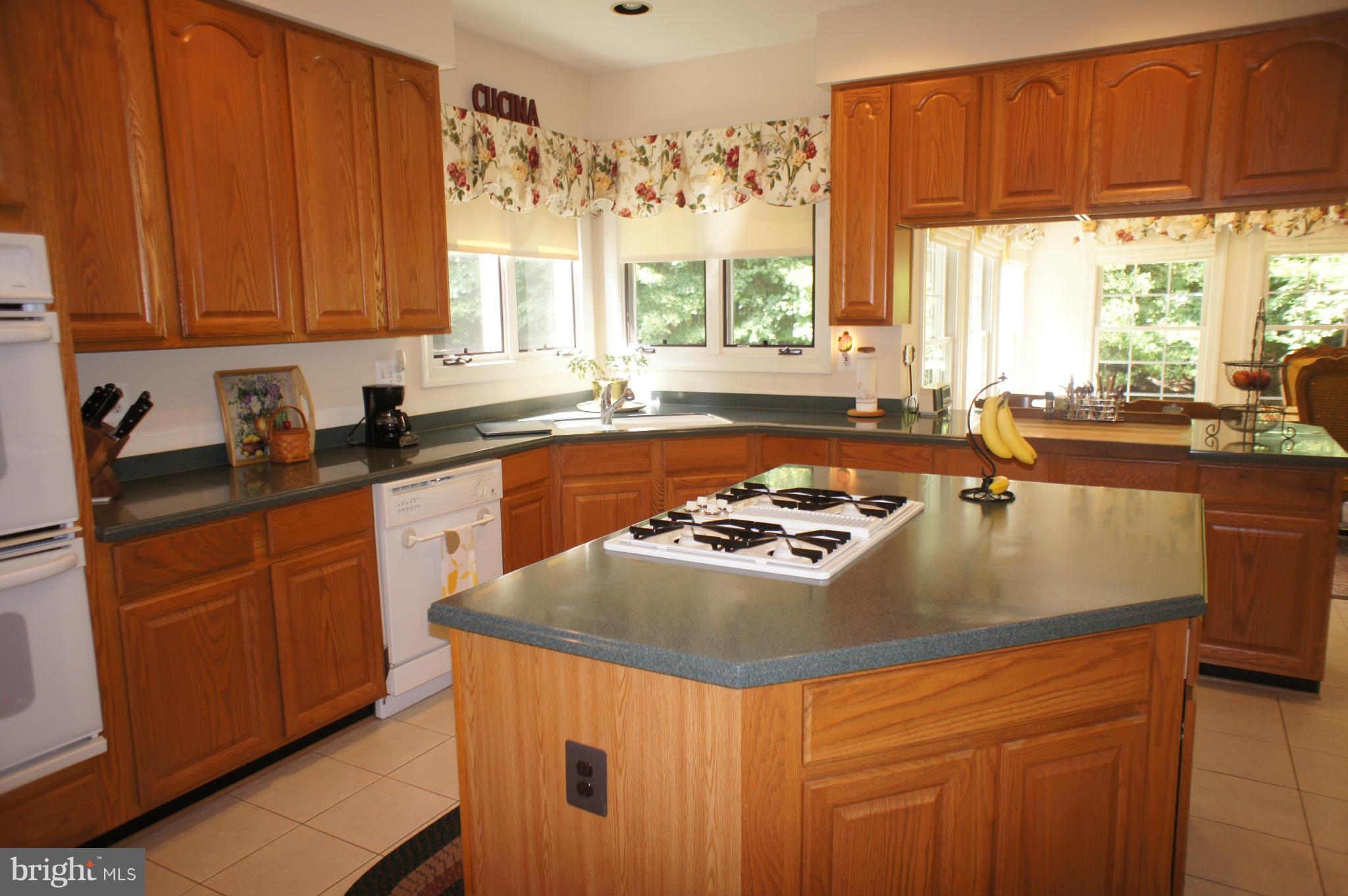 10871 Meanderview Court Manassas, VA 20111 - Photo 5 of 30 Kitchen with large island