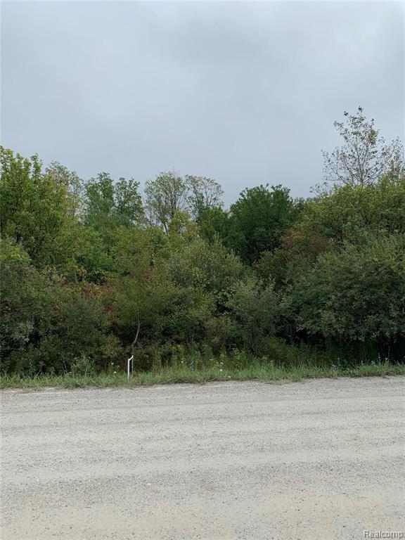 V/l Jordan Road Yale, MI 48097 - Photo 2 of 4