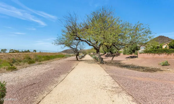 a park with a bench and trees in the background