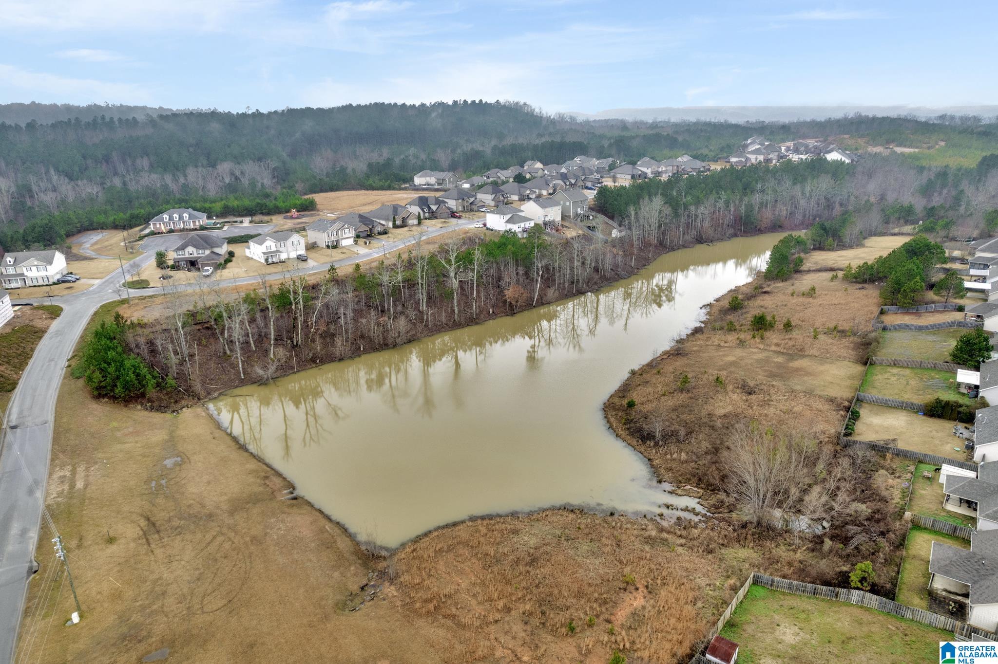 960 Legacy Cove North Springville, AL 35146 - Photo 28 of 33