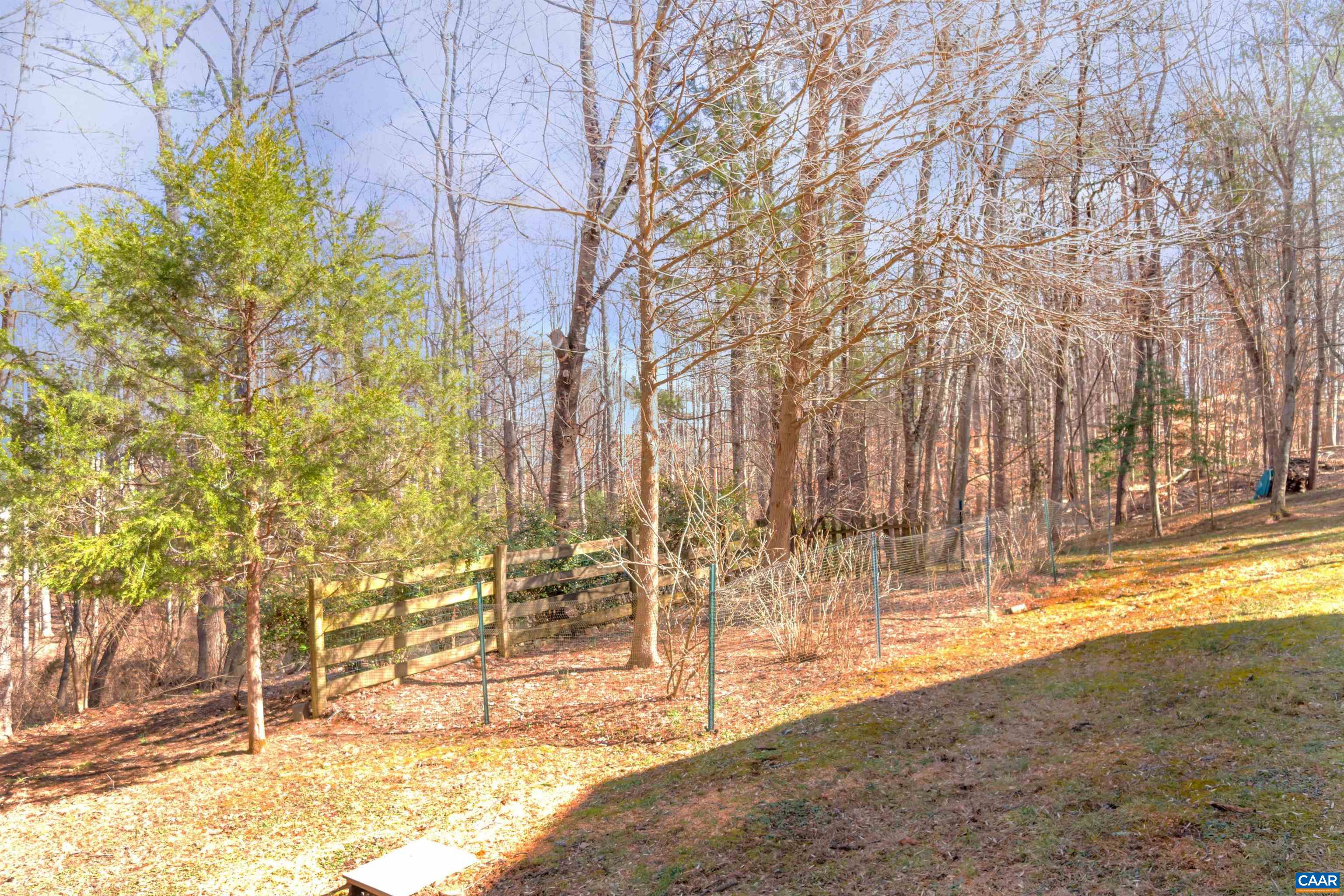 2091 Whippoorwill Road Charlottesville, VA 22901 - Photo 31 of 41 a view of yard with trees