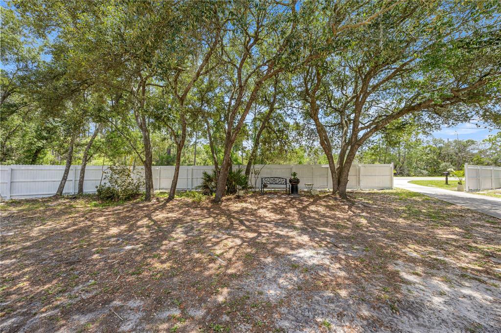 495 Fisher Road Ocklawaha, FL 32179 - Photo 38 of 50