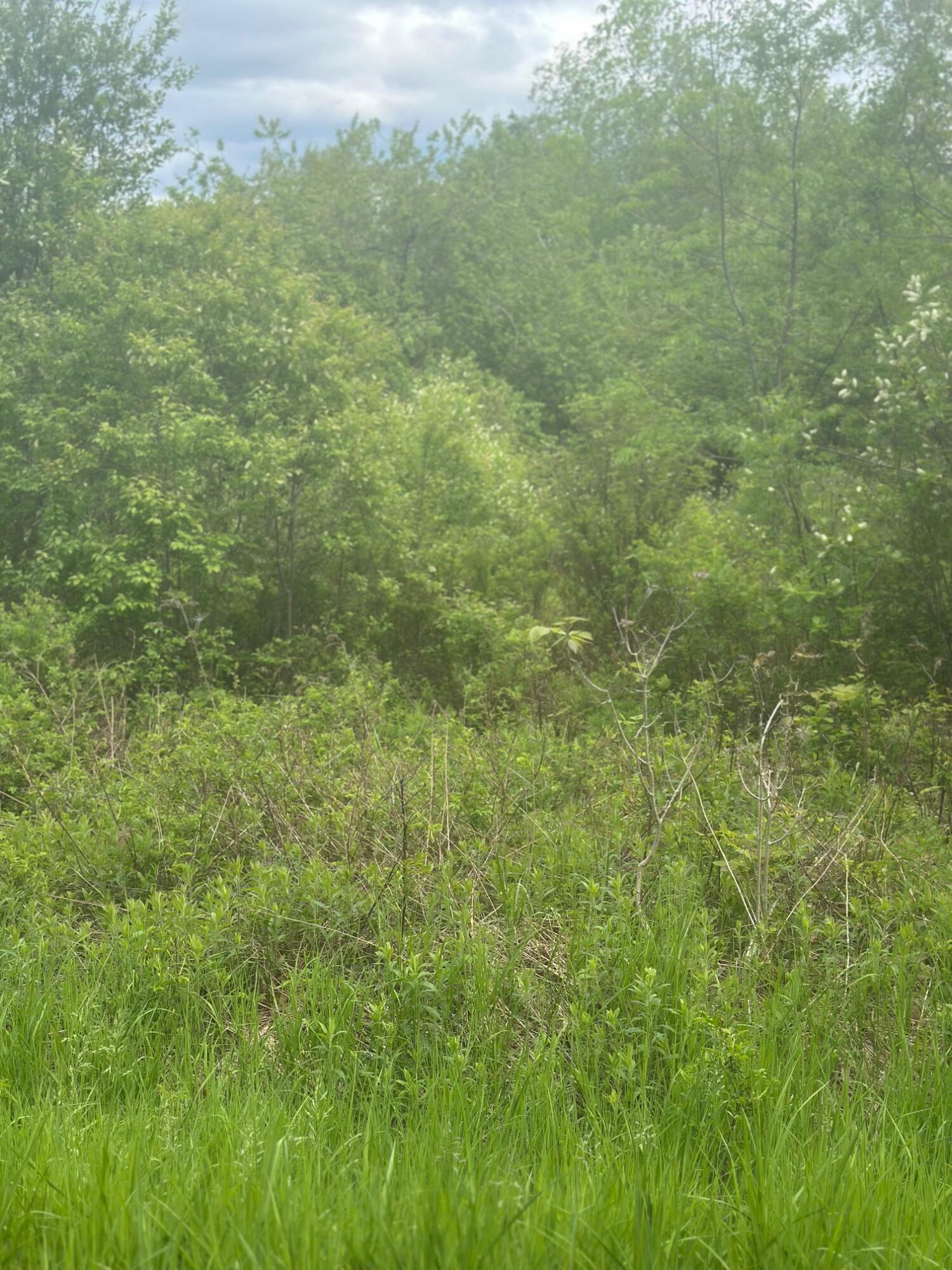 Lot 7 Unionville Road Steuben, ME 04680 - Photo 4 of 4 Lot 7-3
