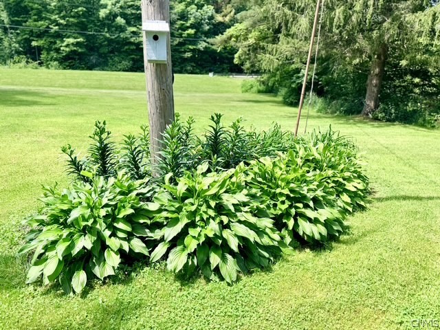 4241 Long Hill Road Moravia, NY 13118 - Photo 16 of 24