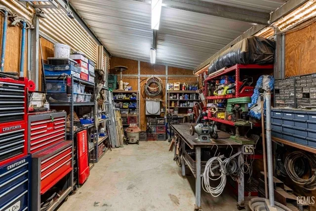 a view of park with large trees