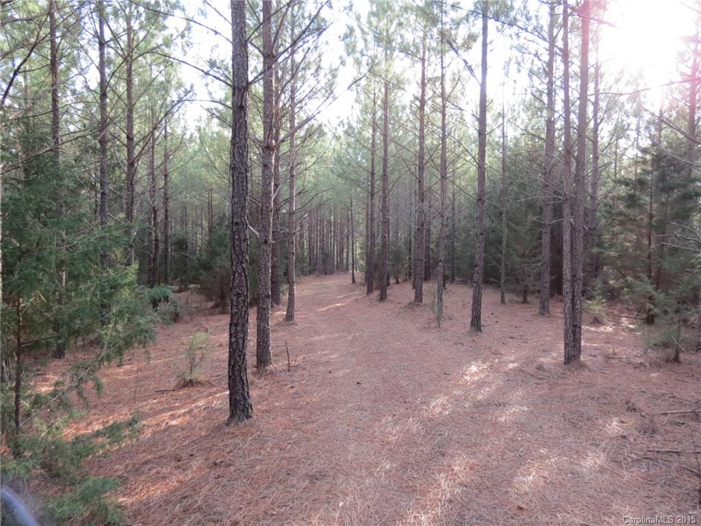 60-ac Hickory Grove Road Sharon, SC 29742 - Photo 1 of 17