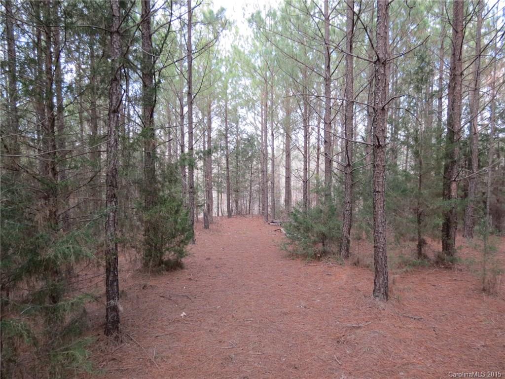 60-ac Hickory Grove Road Sharon, SC 29742 - Photo 2 of 17