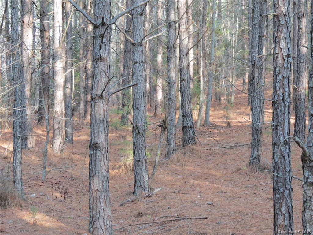 60-ac Hickory Grove Road Sharon, SC 29742 - Photo 14 of 17