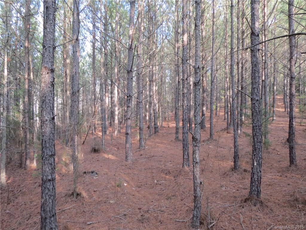 60-ac Hickory Grove Road Sharon, SC 29742 - Photo 15 of 17