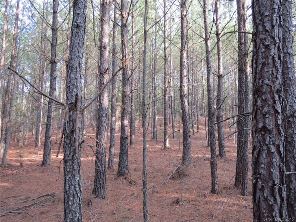 60-ac Hickory Grove Road Sharon, SC 29742 - Photo 16 of 17