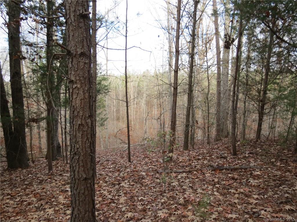 60-ac Hickory Grove Road Sharon, SC 29742 - Photo 3 of 17