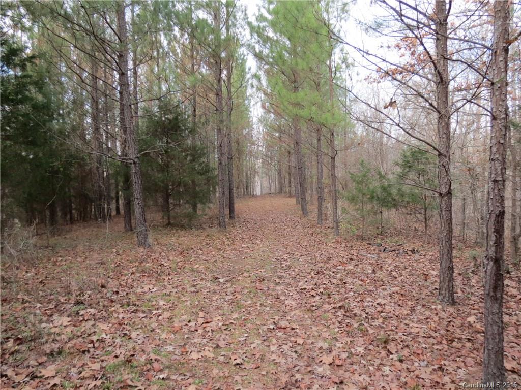 60-ac Hickory Grove Road Sharon, SC 29742 - Photo 4 of 17