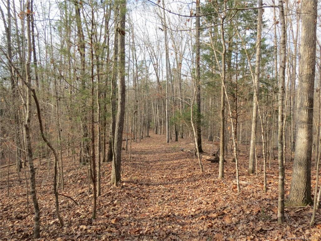 60-ac Hickory Grove Road Sharon, SC 29742 - Photo 5 of 17