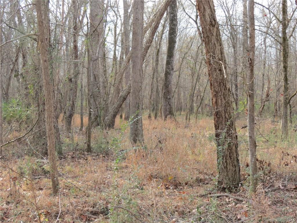 60-ac Hickory Grove Road Sharon, SC 29742 - Photo 8 of 17