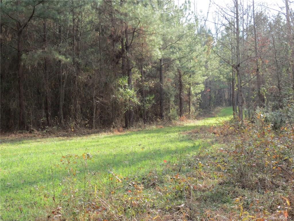 60-ac Hickory Grove Road Sharon, SC 29742 - Photo 9 of 17