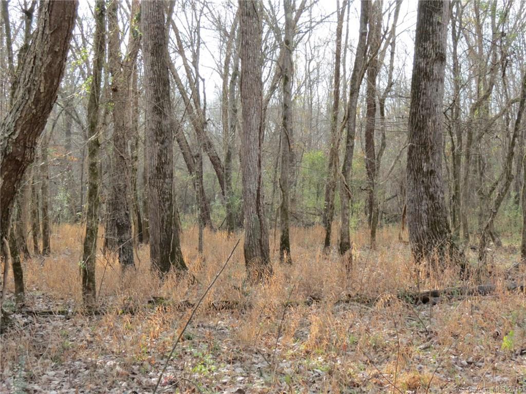 60-ac Hickory Grove Road Sharon, SC 29742 - Photo 10 of 17