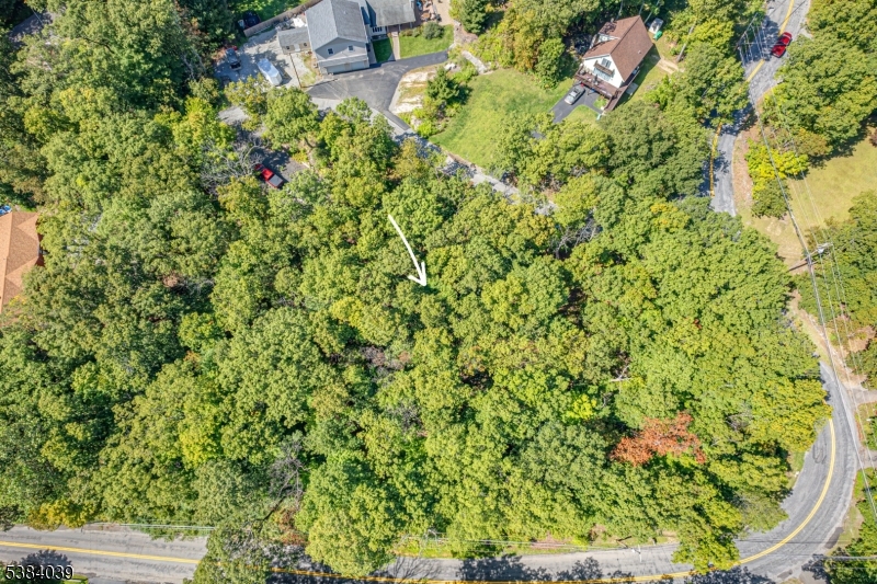 7 Split Rock Lane Vernon, NJ 07461 - Photo 4 of 10 a view of a yard with a tree