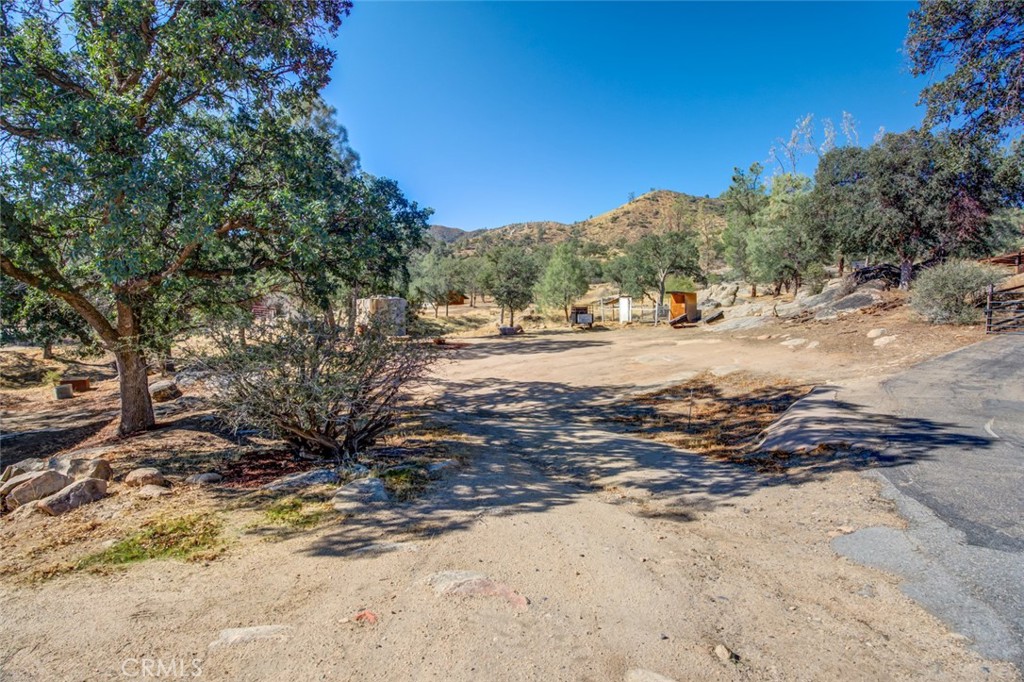 245 Mountain Shadow Road Wofford Heights, CA 93285 - Photo 45 of 72 a view of a yard with plants and trees