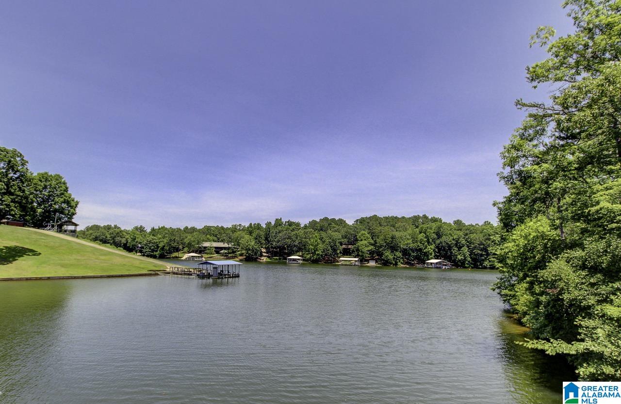 Brookwater Pointe, Unit 11 Wedowee, AL 36278 - Photo 1 of 8