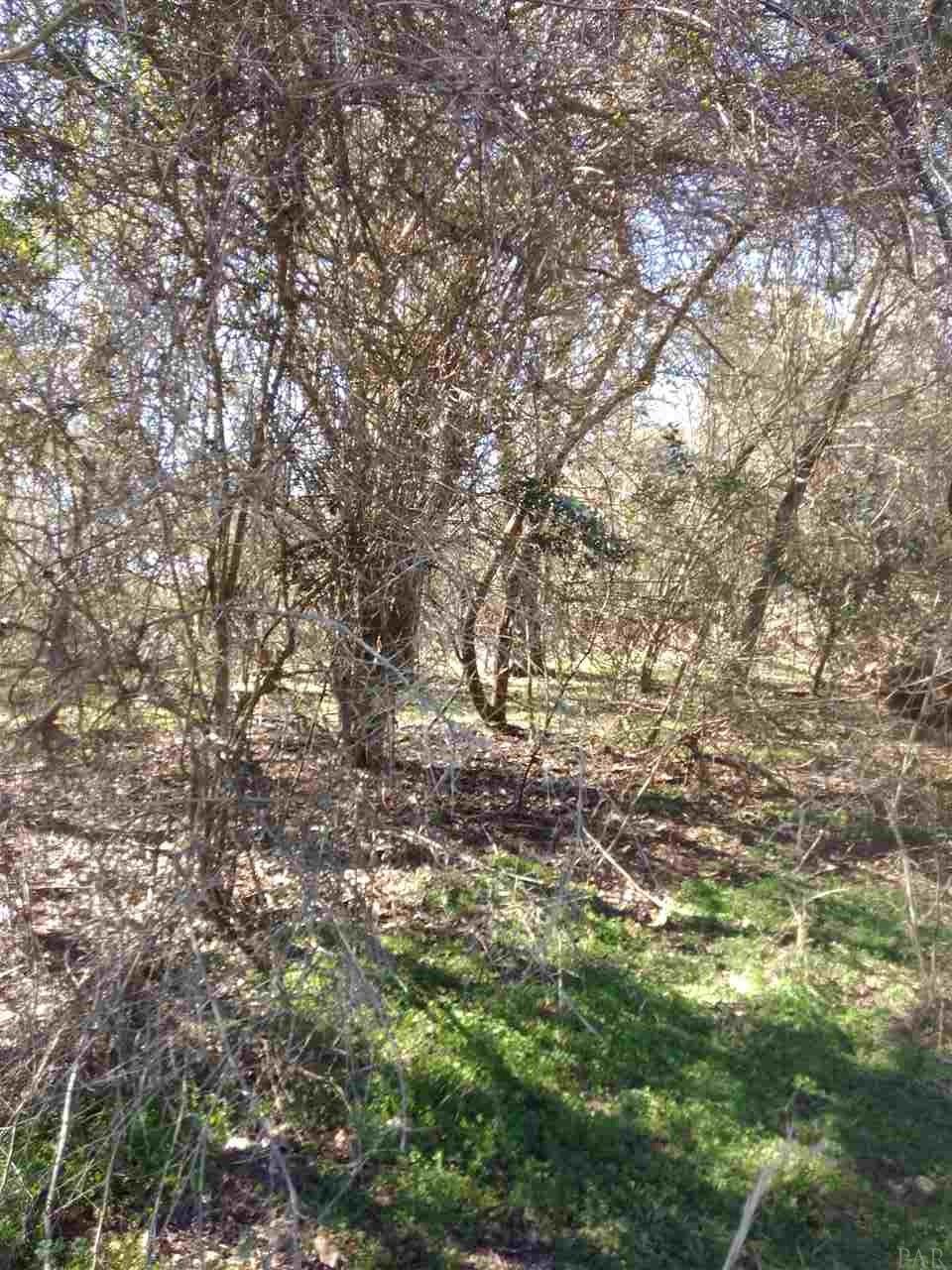 3161 Wallace Road Brewton, AL 36426 - Photo 3 of 6